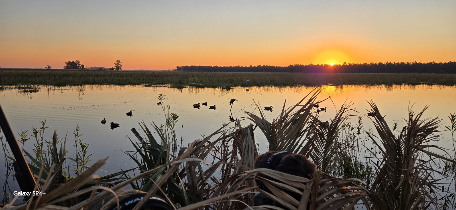 Sunset over a Buenos Aires duck marsh