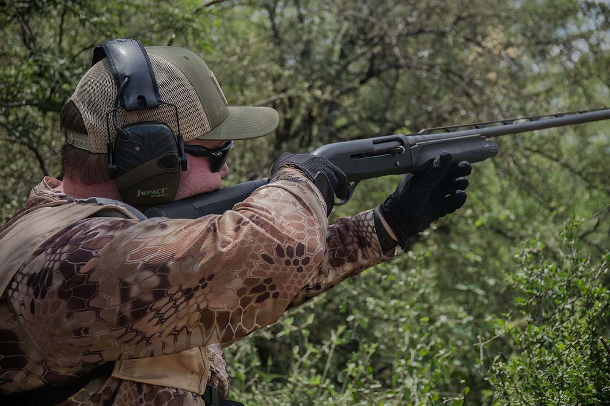 On the gun in the brush