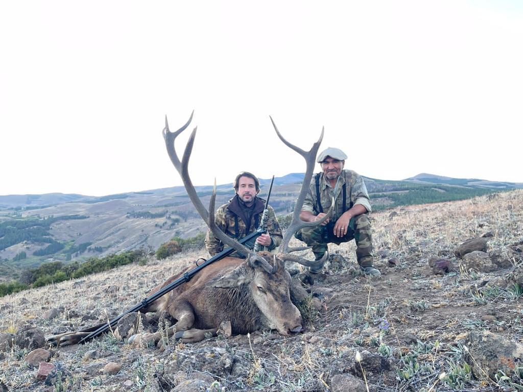 Glassing for free-range red stag across a Patagonian valley