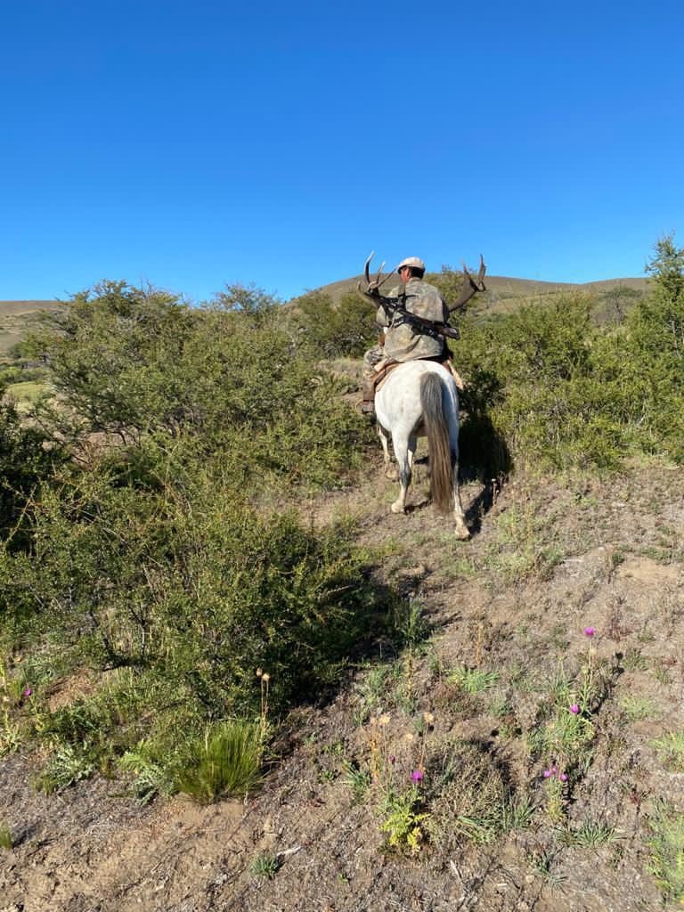 Scouting the high country on horseback